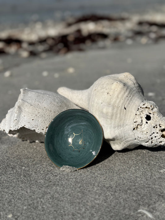 Diamond Nautilus Shark Tooth Bowl
