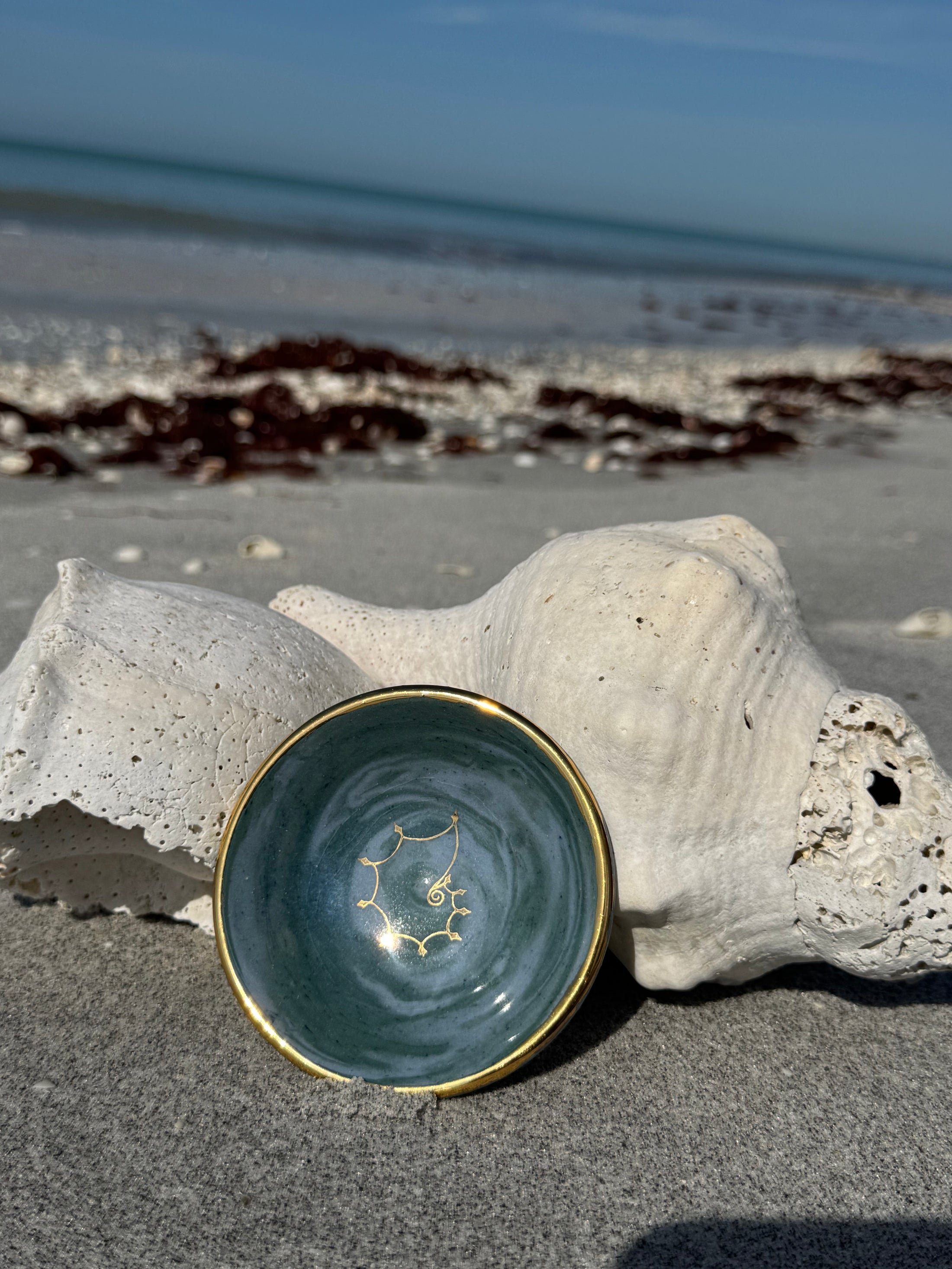 Diamond Nautilus Shark Tooth Bowl