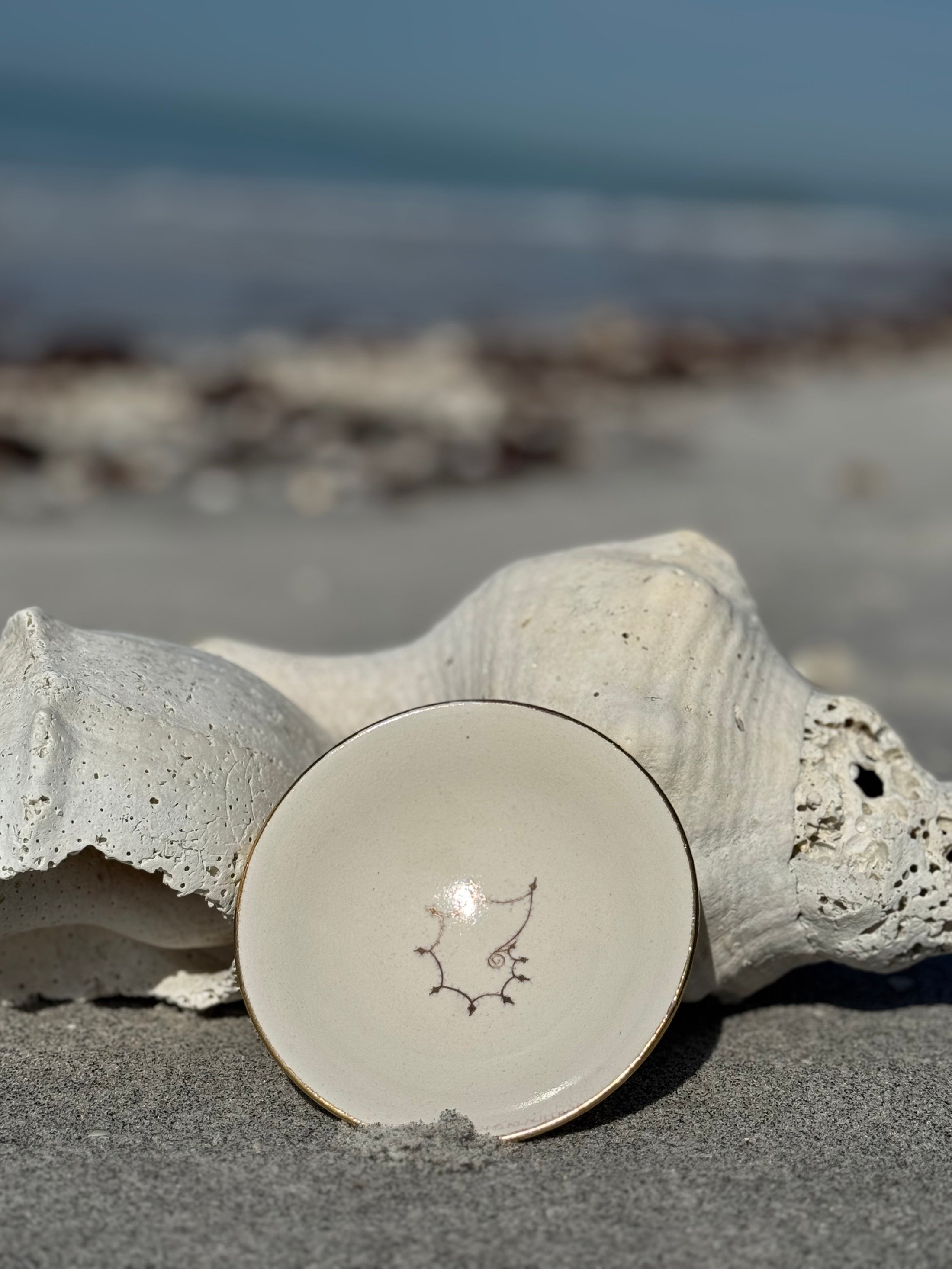Diamond Nautilus Shark Tooth Bowl