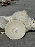 Load image into Gallery viewer, Diamond Nautilus Shark Tooth Bowl
