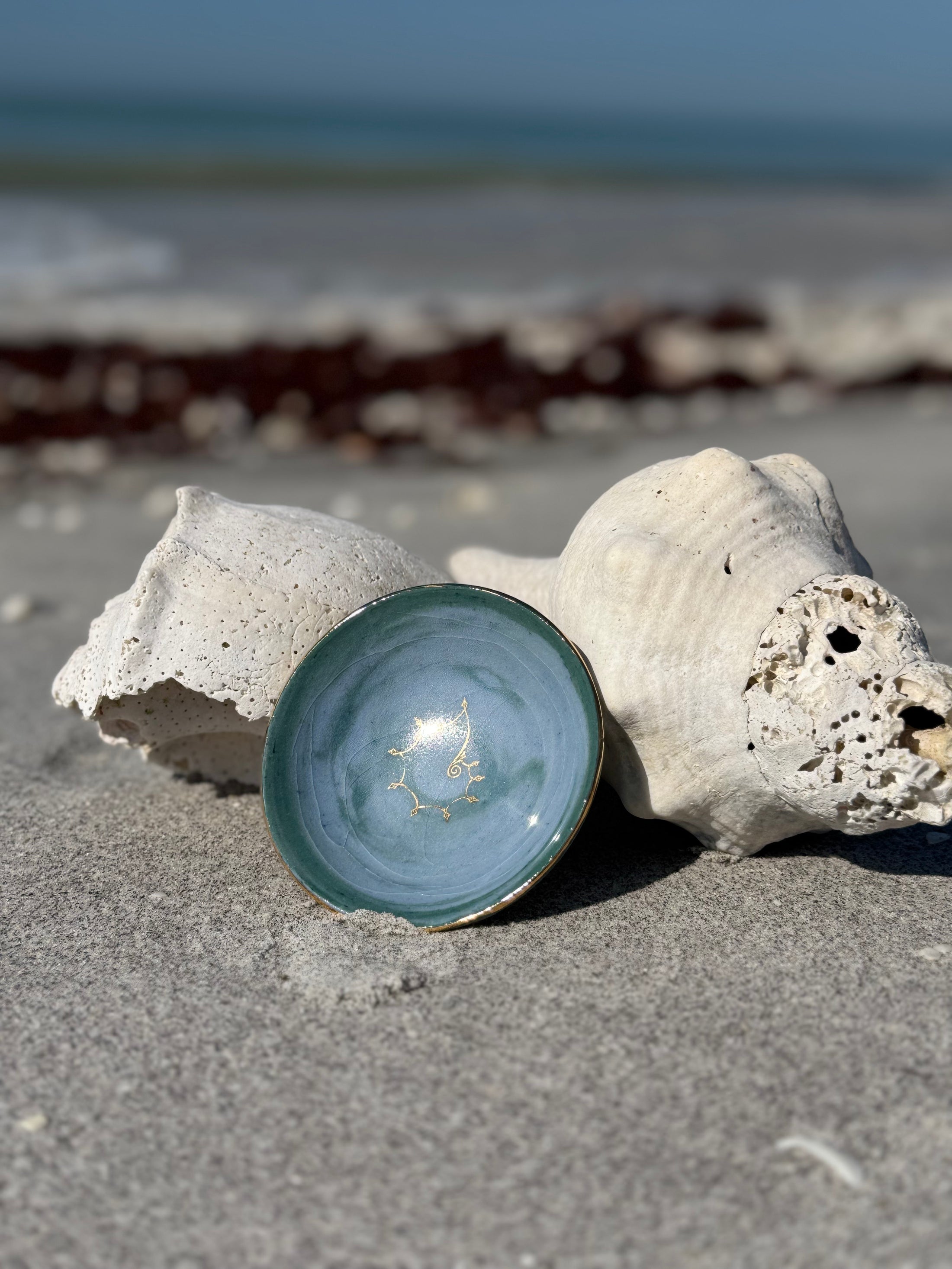 Diamond Nautilus Shark Tooth Bowl