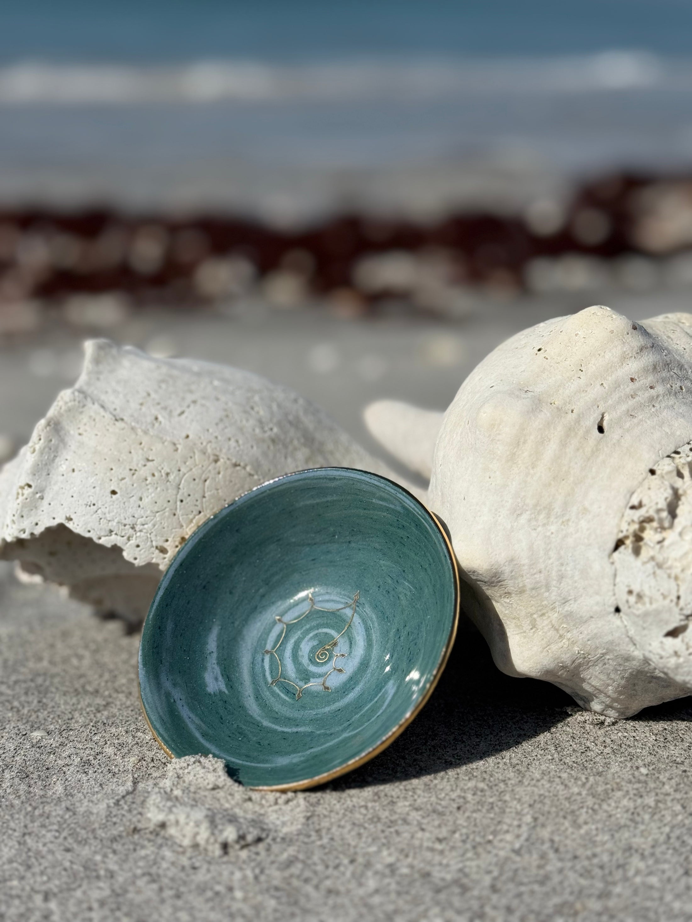 Diamond Nautilus Shark Tooth Bowl