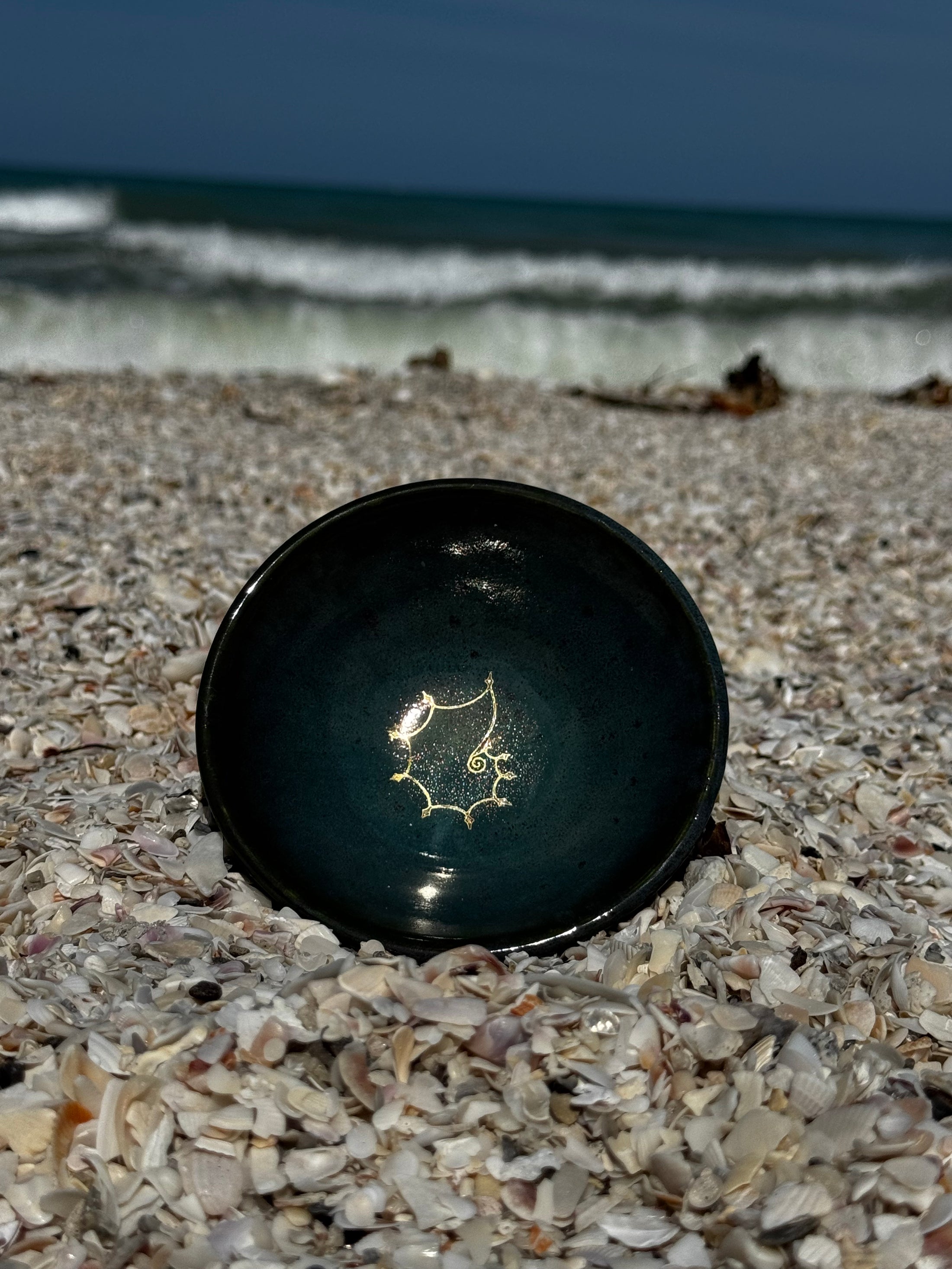 Diamond Nautilus Shark Tooth Collector's Bowl