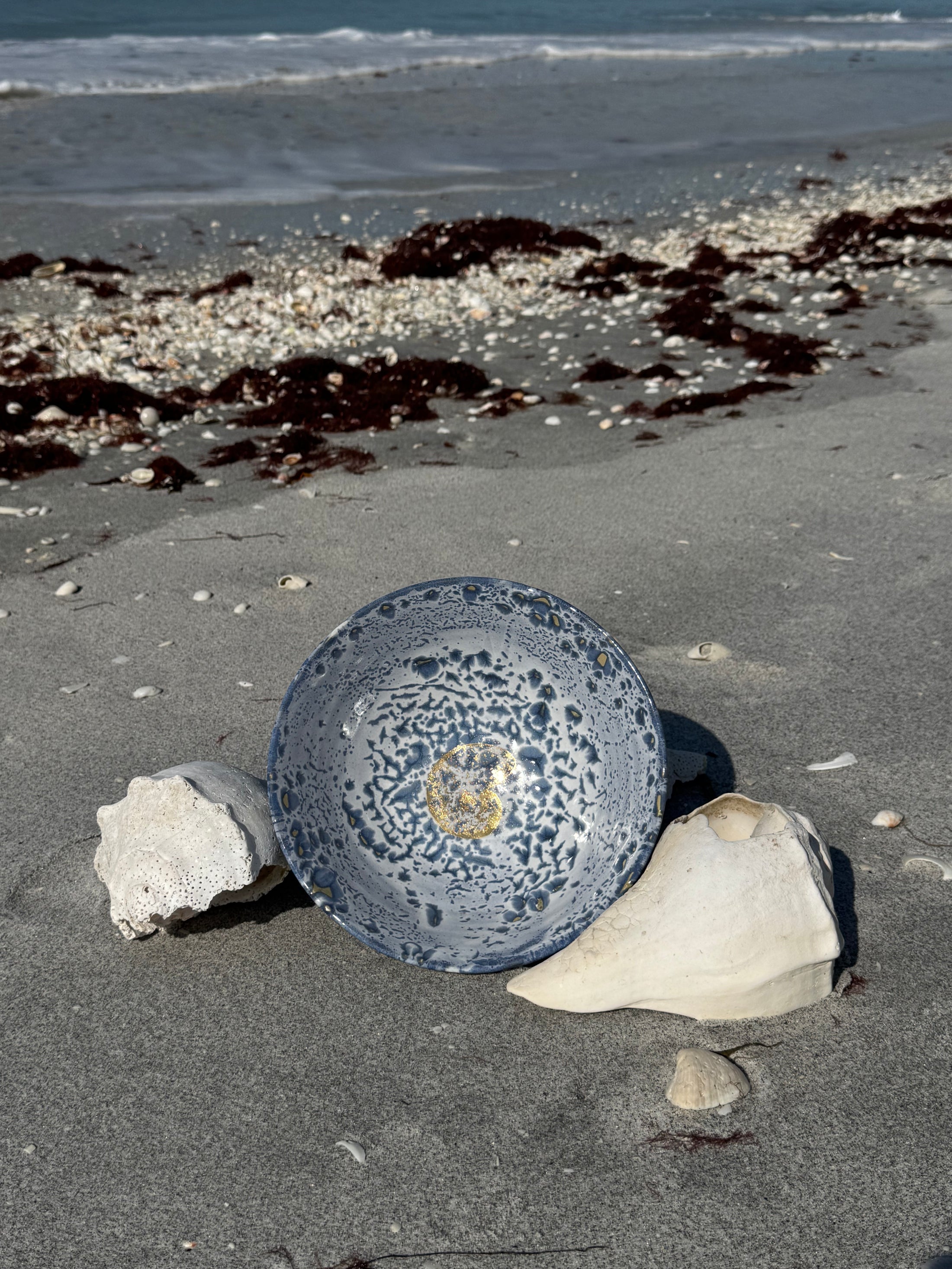 Gilded Nautilus Banded Tulip Bowl