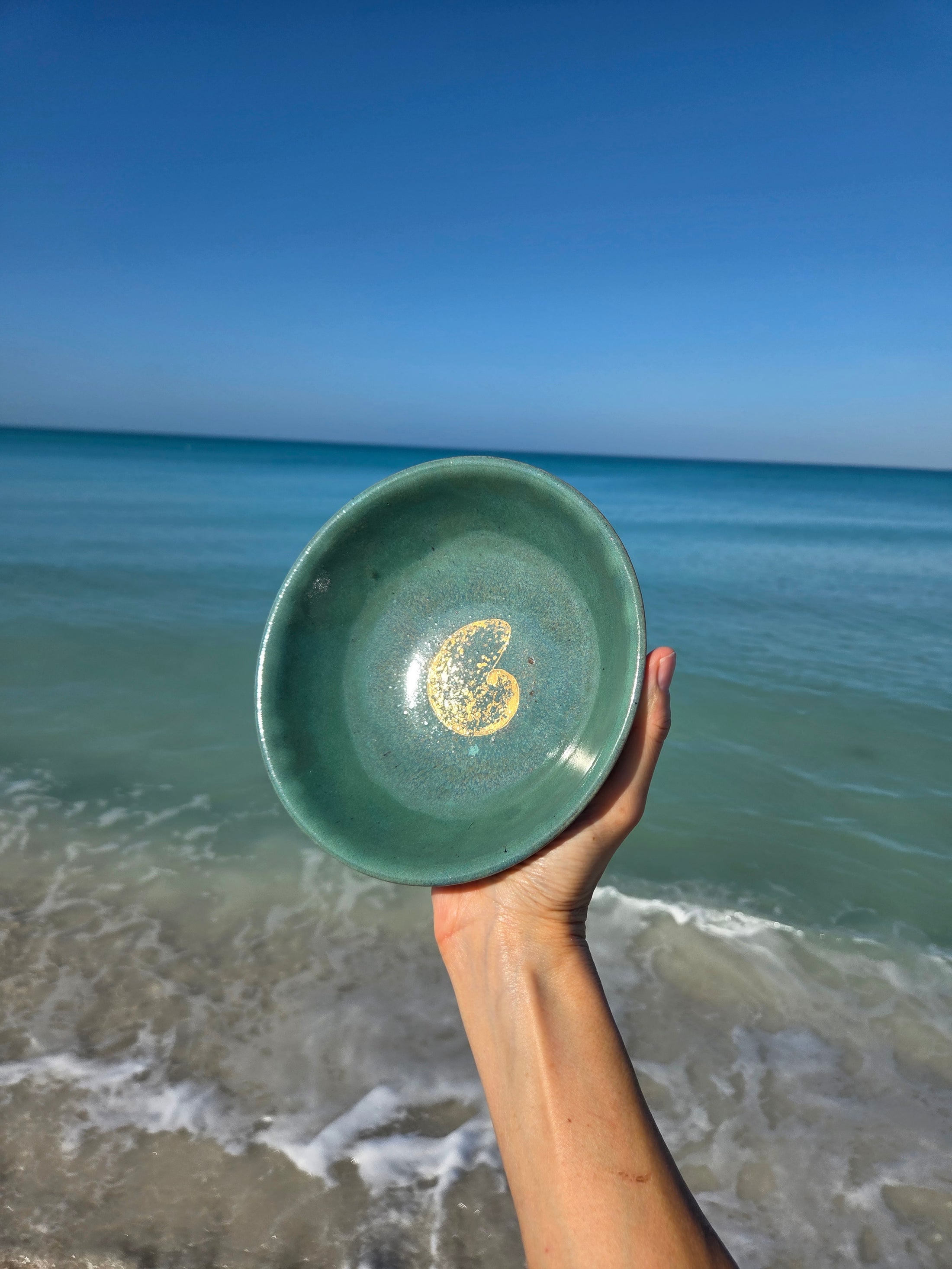Gilded Nautilus Banded Tulip Bowl