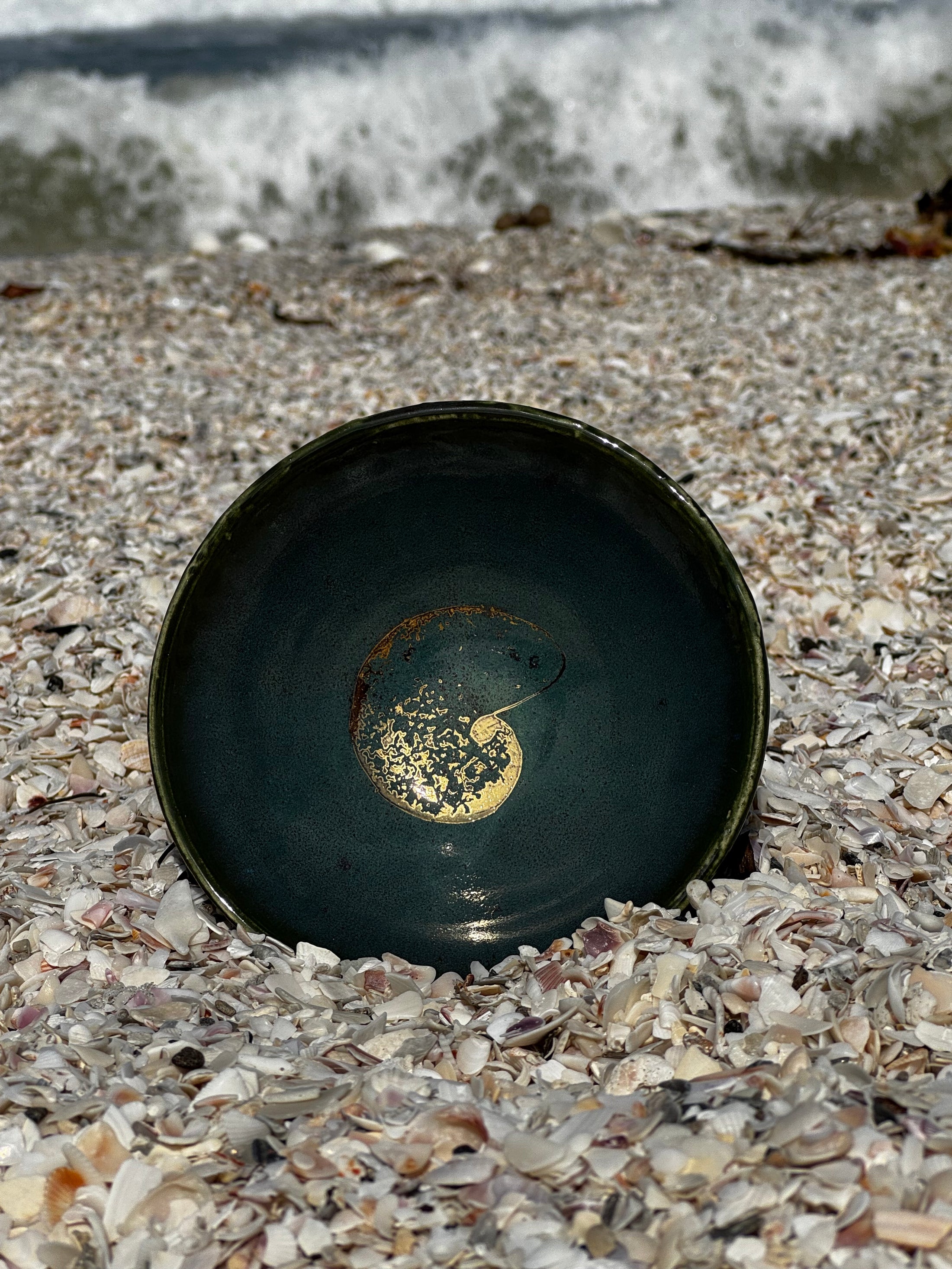 Gilded Nautilus Shark Tooth Collector's Bowl