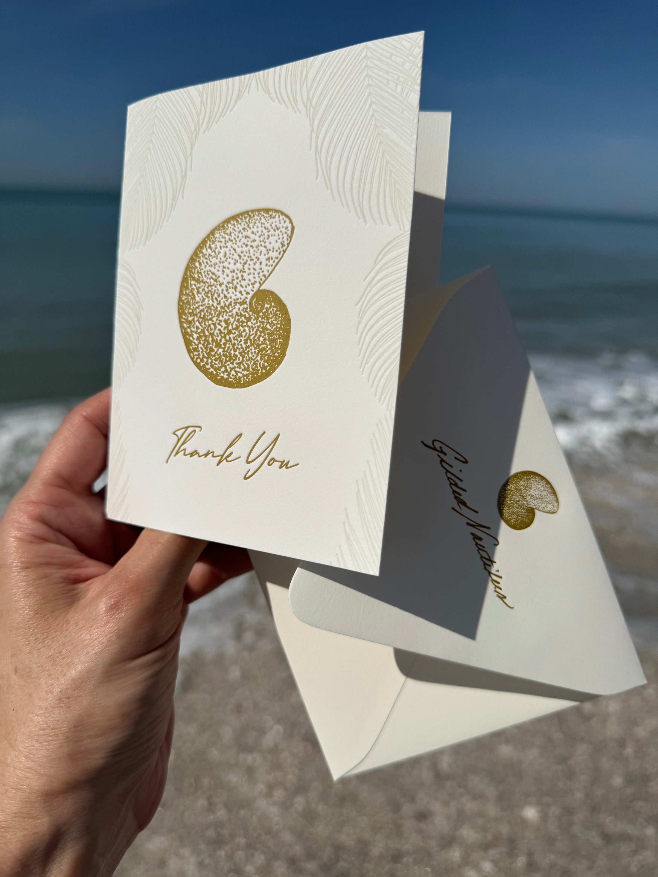 Gilded Nautilus Letterpress Thank you Card
