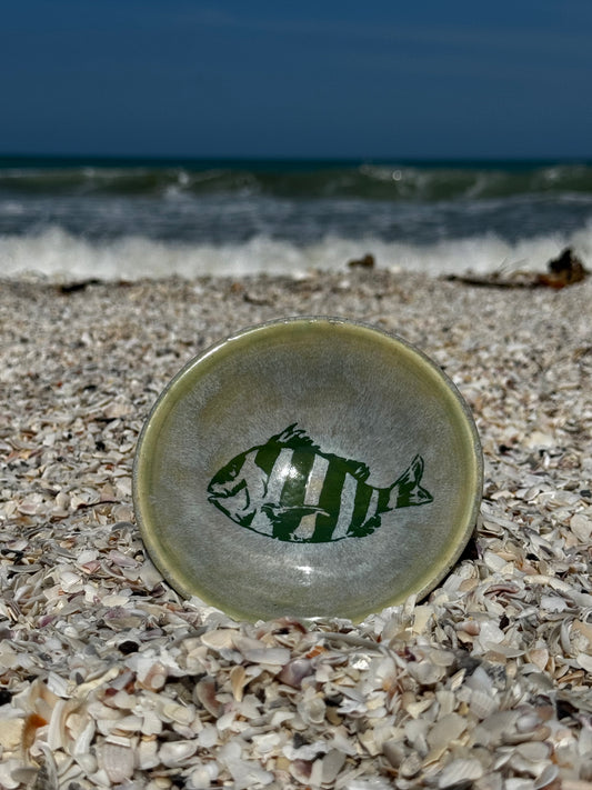 Sheepshead Shark Tooth Collector's Bowl